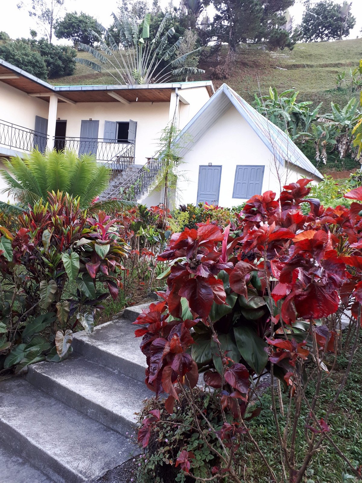 manja-hotel (12)