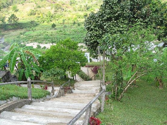 the-steps